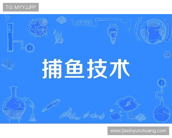 提升ag捕鱼网胜率的实用策略全面解析帮助你轻松获胜